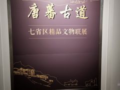-宁夏博物馆