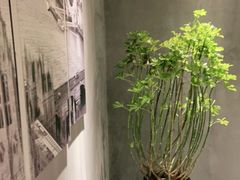 -鸽子窝(宋庄店)