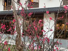 -曾福兴