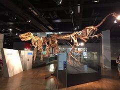 -墨尔本博物馆(Melbourne Museum)