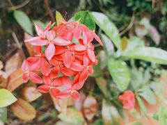 -广州神农草堂中医药博物馆