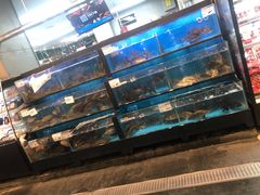 水产区-盒马鲜生(宝地店)