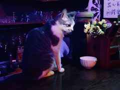 -星宿秘码(鼓浪屿老店)