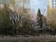 -团结湖公园
