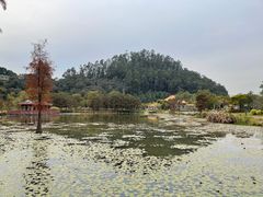 -顺峰山公园