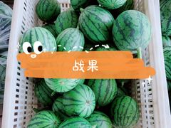 -西瓜小镇