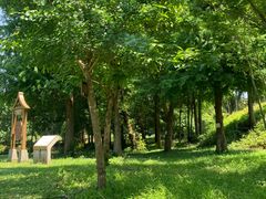 -南宁良凤江国家森林公园