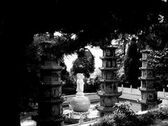 -泰山风景名胜区-普照寺