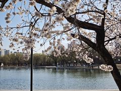 -太阳宫公园
