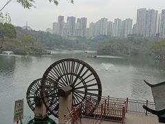 -重庆彩云湖湿地公园