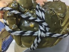 -喜洋洋蟹庄(阳澄湖店)