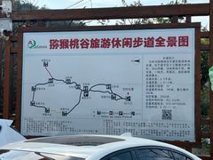 -大岭沟猕猴桃谷风景区