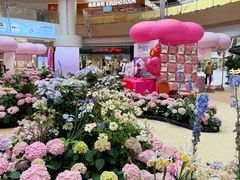 -上海长风大悦城