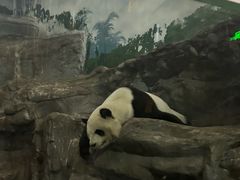 -鄂尔多斯野生动物园