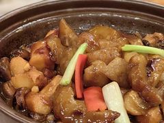 淮山花菇仔焖海参-广州酒家(文昌总店)