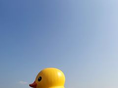 -深圳人才公园