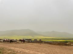 -扁都口生态休闲旅游区