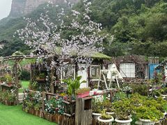 -河南宝泉旅游区
