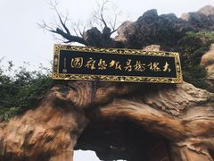 -大槐树寻根祭祖园
