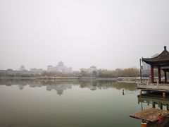 -莲花池公园