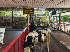 -光明农场大观园