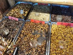 -昆虫窝子·特色云南菜(拓东路总店)