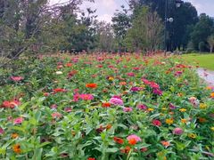 -狼山风景名胜区