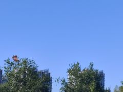 -太阳宫公园
