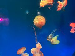 -南昌融创海世界