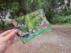 -海南热带野生动植物园