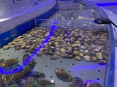 -澜悦港海鲜体验主题餐厅