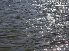 -西昌邛海湿地