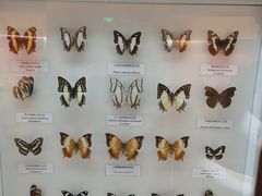 -陕西自然博物馆