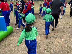 -武汉紫薇都市田园