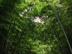 -同里国家湿地公园
