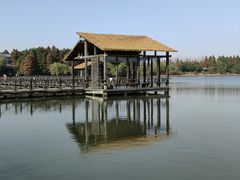 -溱湖国家湿地公园