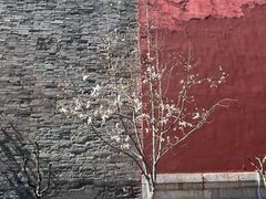 -东华门大街小区