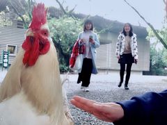 -热田神宫