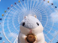 -琴岛之星摩天轮