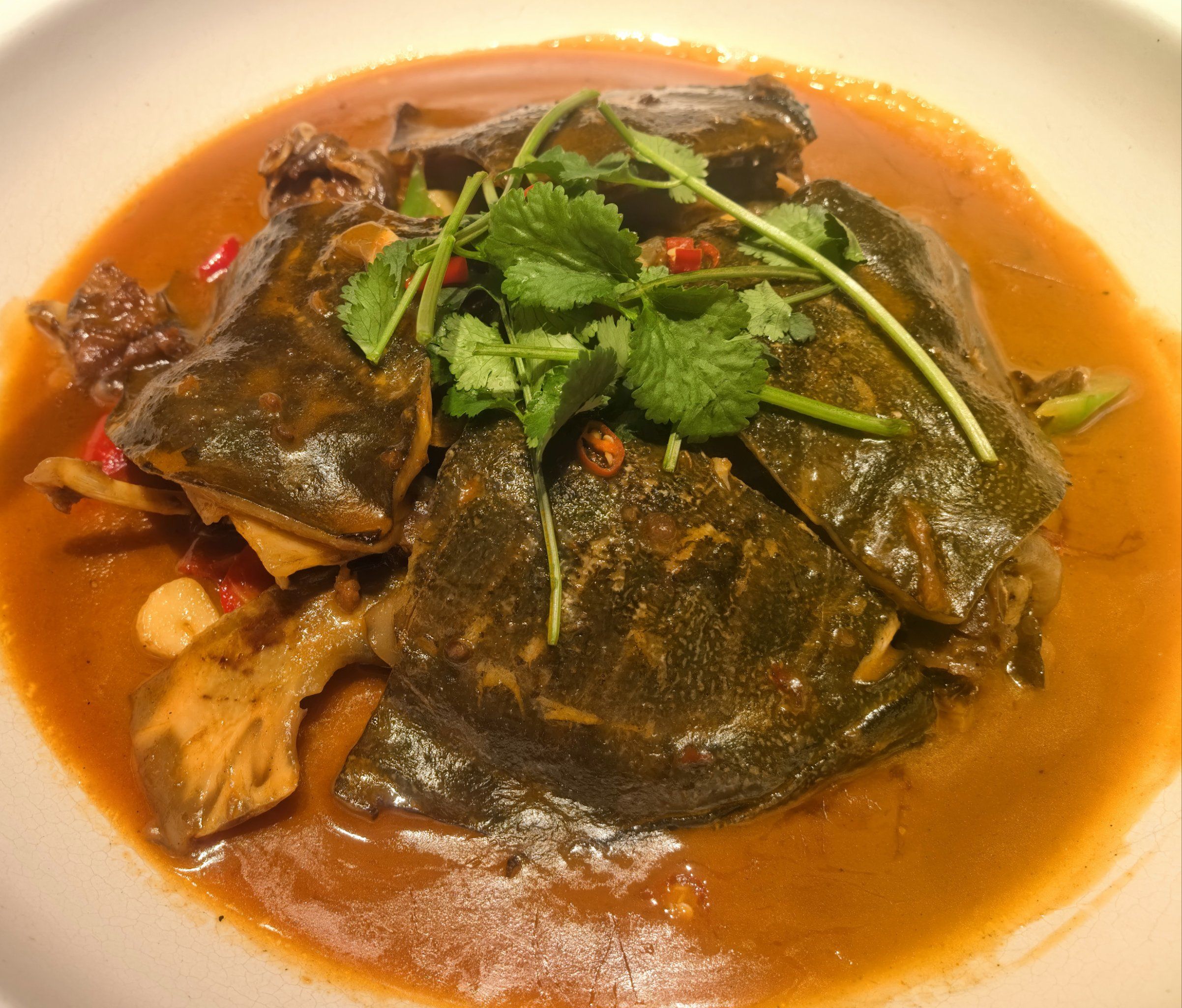 甲鱼为什么咬人不松口