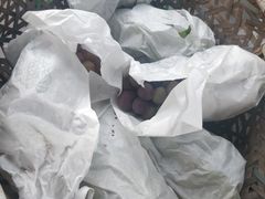 -美家乐农庄·露营·团建(大治路店)