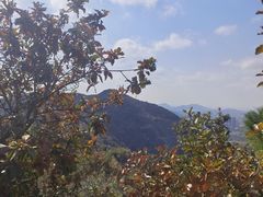 -灵岩山风景区