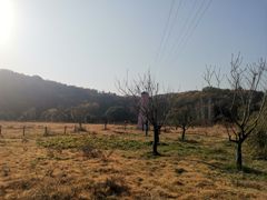 -南京老山国家森林公园