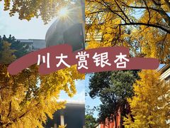 -四川大学(望江校区)