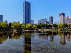-堤角公园