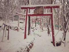 -宫城藏王狐狸村