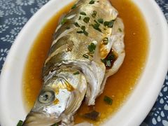 清蒸白水鱼-唔呶喔哩酒家(生产街店)