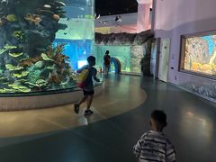 -福州罗源湾海洋世界旅游区