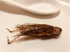 -金台阶鱼馆(于桥水库店)
