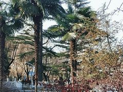 -长乐公园游乐场